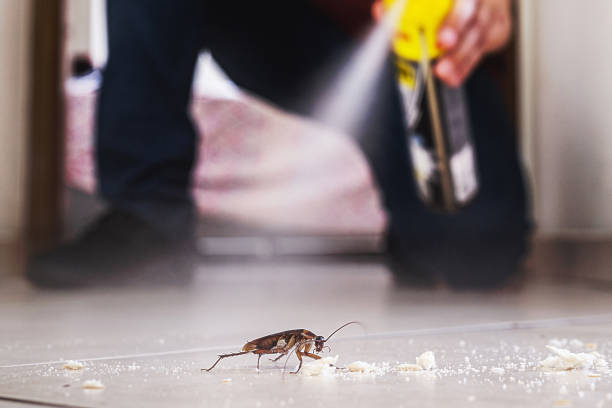 Best Residential Pest Control  in Hemphill, TX